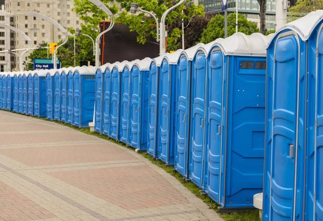 Seasonal porta potty units set up at a Grand Rapids, Michigan venue